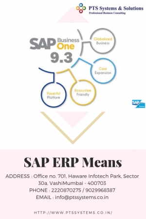 What SAP ERP Means?